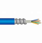 Image result for Cat5e Armoured Cable