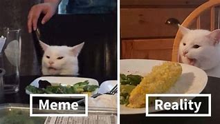 Image result for Cat at Table Meme We Need to Talk