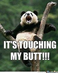 Image result for Bored Panda Funny Memes