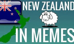 Image result for Moving to New Zealand Memes