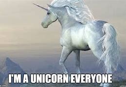 Image result for Unicorn Beautiful Day Meme