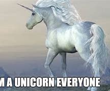 Image result for Positive Unicorn Meme