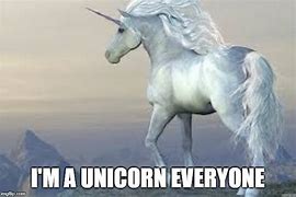 Image result for Unicorn Meme Background