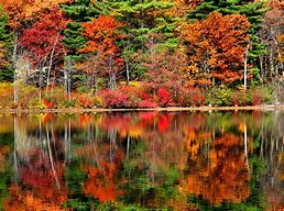 Image result for Cottage Beautiful Fall Scenery