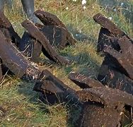 Image result for peats