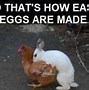 Image result for Funny Easter Messages