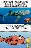 Image result for Mullet Fish Meme