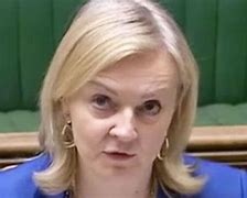 Image result for Liz Truss Suit