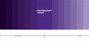 Image result for "purple-scale"