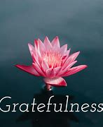 Image result for Gratefulness Cover Page