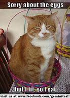 Image result for Funny Easter Cat Memes