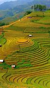 Image result for Background Bậc Thang 5S