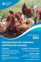 Image result for Advertisement of Poultry Farming