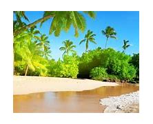 Image result for Tropical Beach Panorama