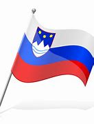 Image result for Slovenia Country Flag