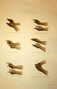 Image result for Sign Language Hand Signs for Path
