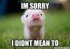 Image result for Sorry Meme Cute