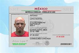 Image result for Mexican Consular ID Card