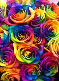 Image result for Rainbow Flower iPhone Wallpaper