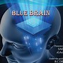 Image result for The Pull Blue Brain