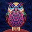 Image result for Trippy Owl Drawings Art