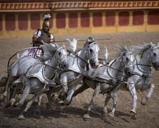 Image result for Chariot Racing for Kids