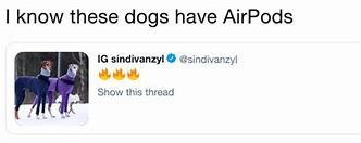 Image result for Rich Dog AirPod Meme