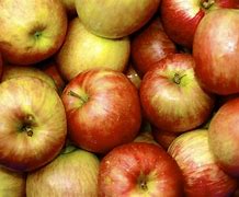 Image result for Preschool Apple Sorting