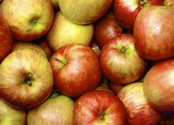 Image result for Images of 20 Apple's