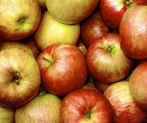 Image result for 6 Apples