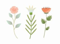 Image result for Flower Vector Illustration