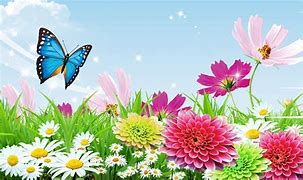 Image result for Summer Flowers and Butterflies