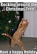 Image result for Cat Xmas Memes