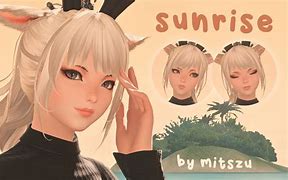 Image result for Miqo'te Face 2