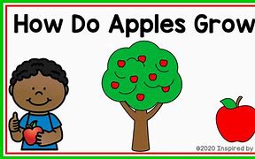 Image result for Mary Has 2 Apple's