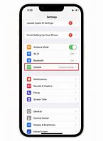 Image result for How to Check Cellular Data On iPhone