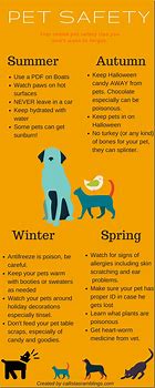 Image result for Poster About Caring for Animals