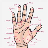 Image result for Acupuncture Points On Hand