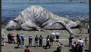 Image result for Biggest Animal in the World Scale