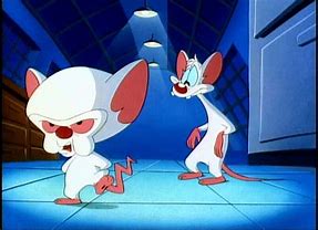 Image result for Pinky and the Brain Try to Take Over the World