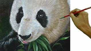 Image result for Panda Bear Painting