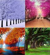 Image result for Why Do We Have Four Seasons