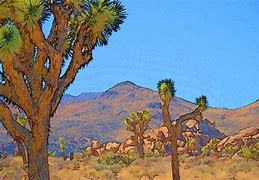 Image result for Cartoon Desert Landscape