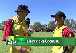 Image result for Cricket Activity