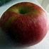 Image result for Best Eating Apple Varieties