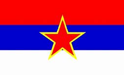 Image result for Crna Gora Flag