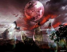 Image result for Wolf Moon Native American