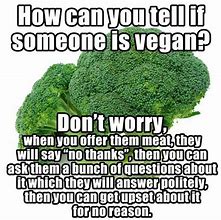 Image result for Accurate Vegan Memes