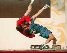 Image result for Boxing and Sambo
