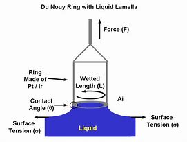Image result for Surface Tension Test Ring